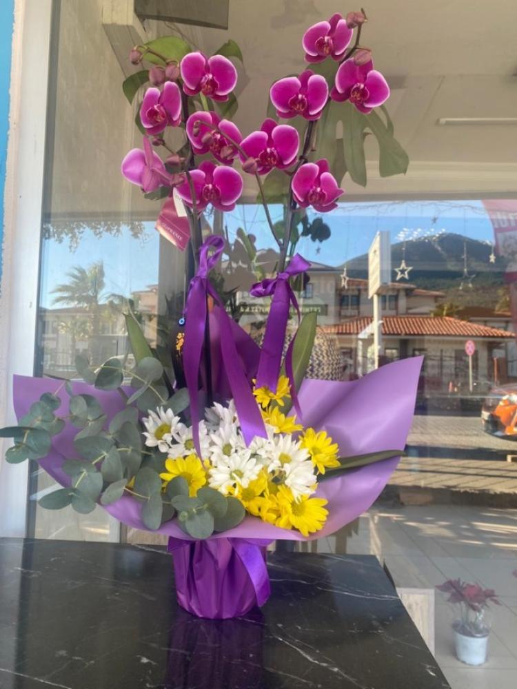 Aranjmanlı Mor Orkide